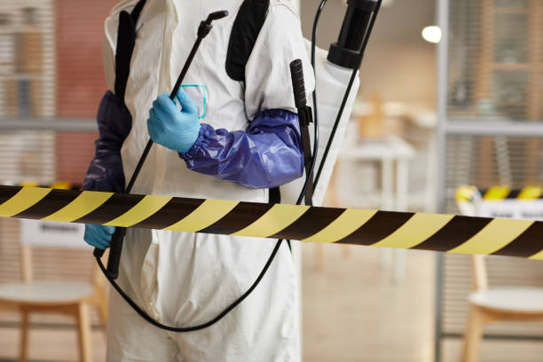Professional Biohazard technician working in Tavares, FL